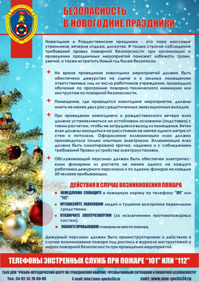 Безопасность в Новогодние праздники при проведении массовых мероприятий.