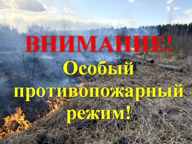 ❗ На предстоящие выходные в большинстве территорий края будет введен особый противопожарный режим..